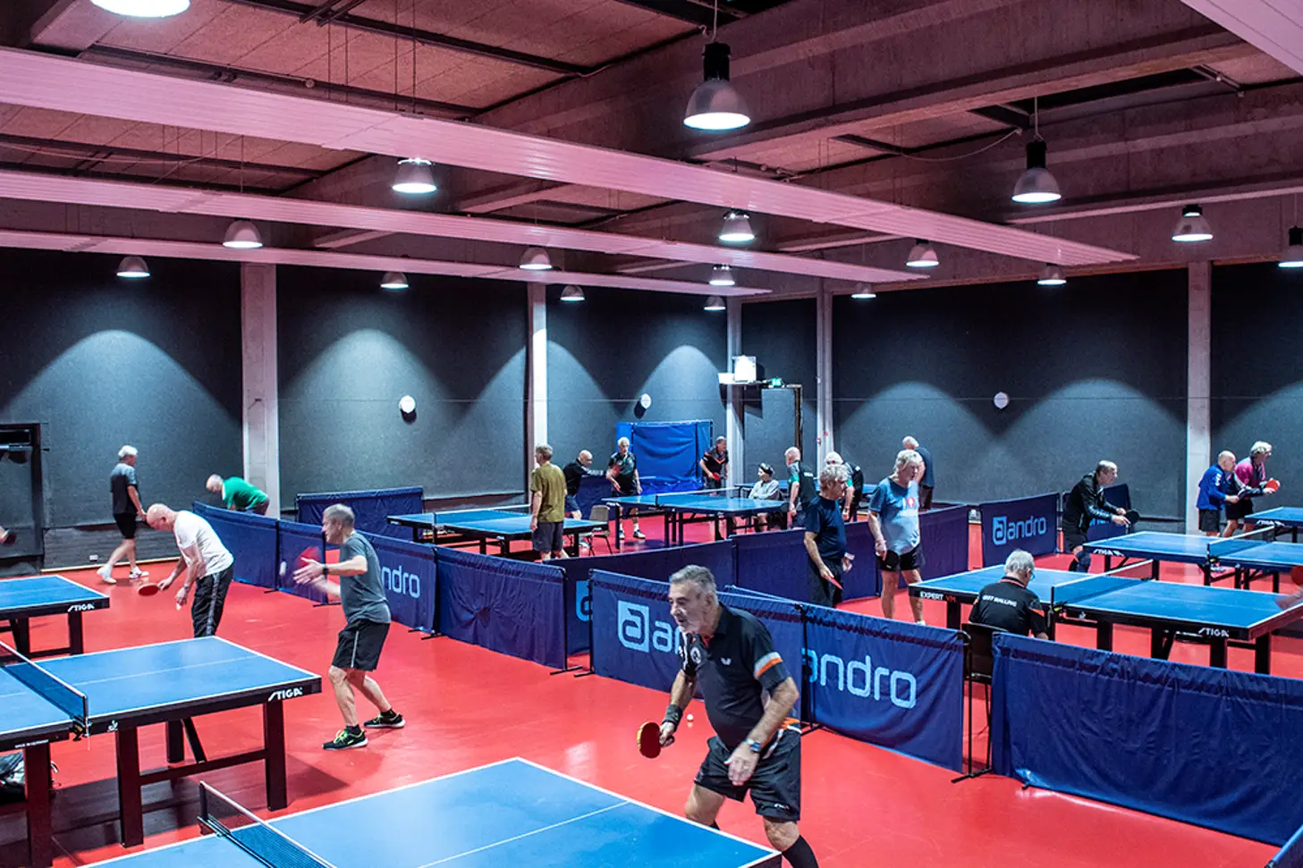 Silkeborg Bordtennis Venner BAT60